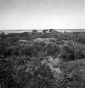 West mounds of ruins of Jaina, from the East Mound