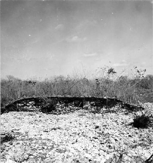 Section of sacbe betwen Izamal and Cimbila looking west