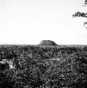 Large mound to north of plaza taken from mound to east