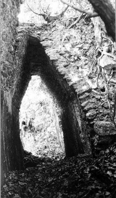 Structure 6, section of standing arch