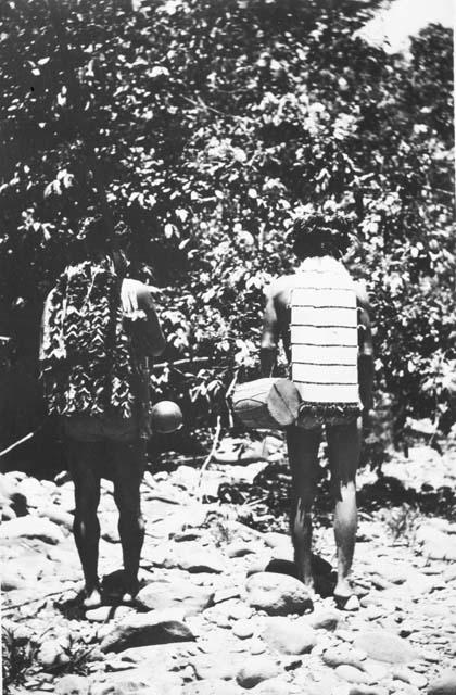 Back view of headdresses of Jivaro chiefs