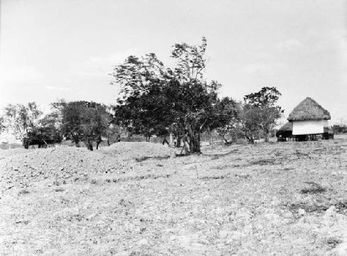 General view of excavation site looking southwest from northeast corner of fence