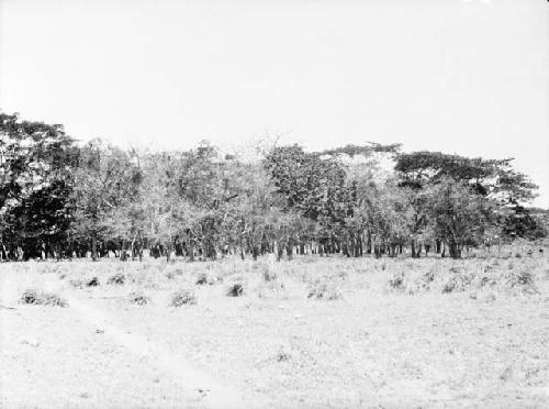 General view of Loma de los Muertos