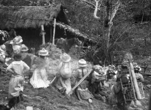 Crowd gathered for the festival of the Black Christ