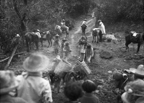 Indians traveling on the road from Metapan