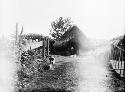 Dog walking in front of hut