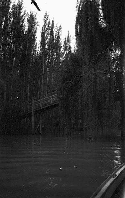 View of wood bridge over river, taken from canoe, Isla Pampero