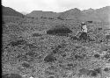 Piedra Pintada 2, Looking Northwest