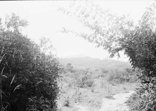 View of Temampua from Flores