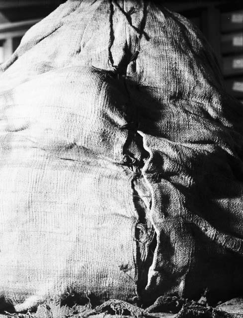 Close-up view of mummy bundle