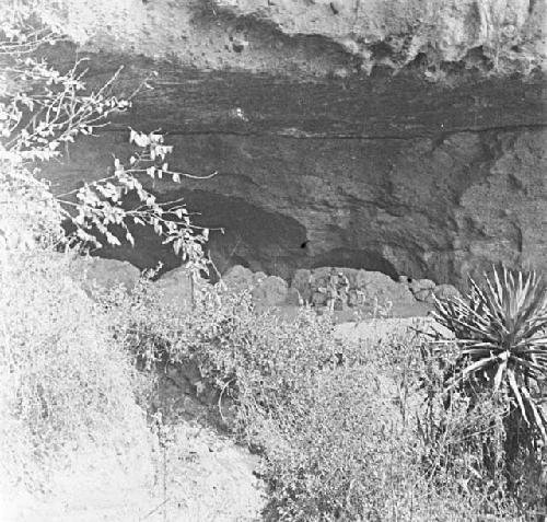 Caves to the east of Elgonyi where Masai formerly kept great herds of cattle