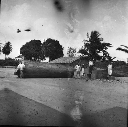 Men standing beside mahogany log raft