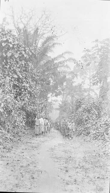 People on a forest path