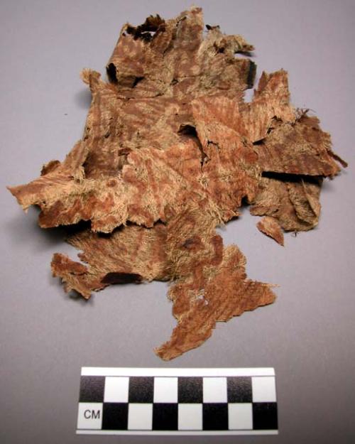 Tapa fragments, buff with pigmented brown design, irregular and torn