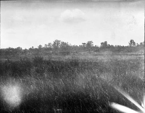 Prairie Landscape