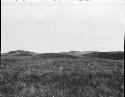 Prairie Landscape