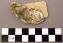 Shell, bivalve fragment, worked