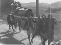 Men carrying coffin