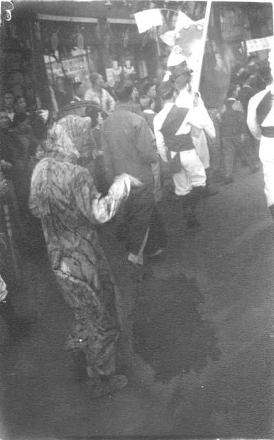 Man dressed as tiger in parade; titled "Tiger"