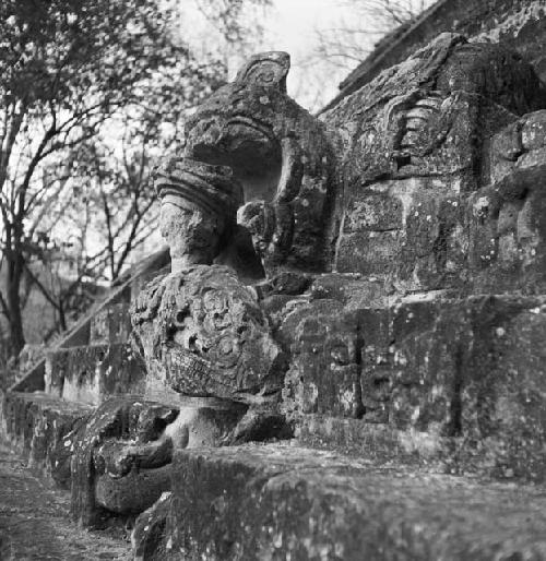 Detail of Hieroglyphic Stairway at Copan