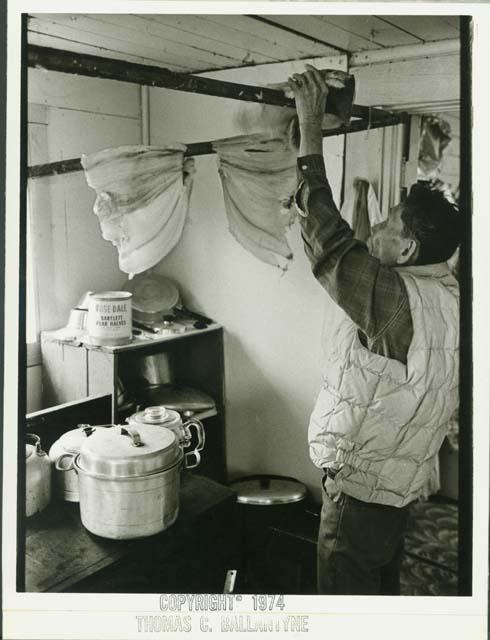 Native American man hanging salmon to dry