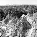 View from Temple I at Tikal