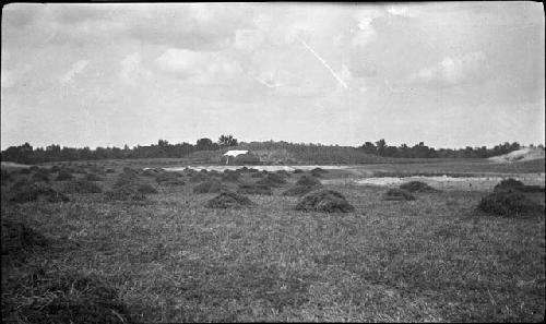 Obion Group. Mound 6 and Depressions 1-2 from Southwest