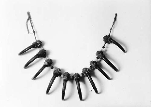 Bear claw necklace