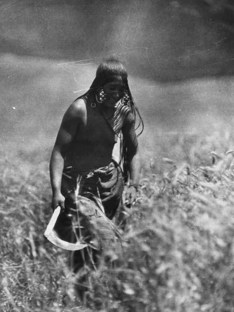 Tibetan woman working in fields with blade