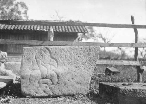 Carved stone stelae, Finca Miraflores