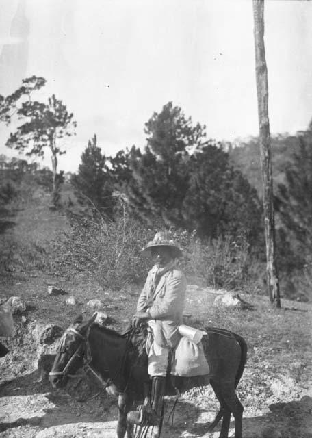 Man riding on donkey from Metapan