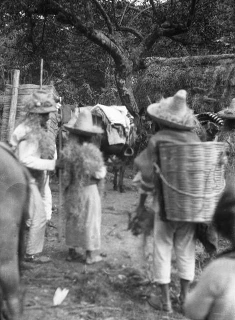 Indians on the road from Metapan