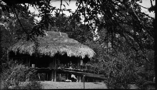 Hut in forest setting