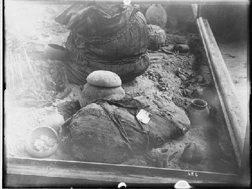 Mummies - Anthropology building, World's Columbian Exposition