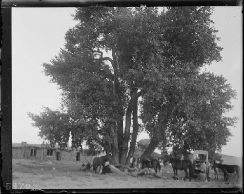 Oljato -- abandoned trading post -- camp of expedition