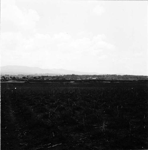 Panorama showing quarry on Finca Las Charcas