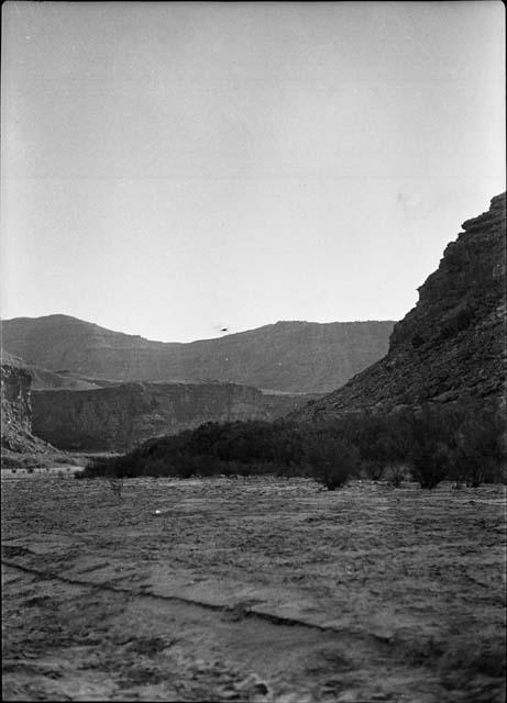 Left Bank of Green River Canyon, Above Mouth of Rattlesnake
