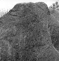 Sculpted boulders at El Baul