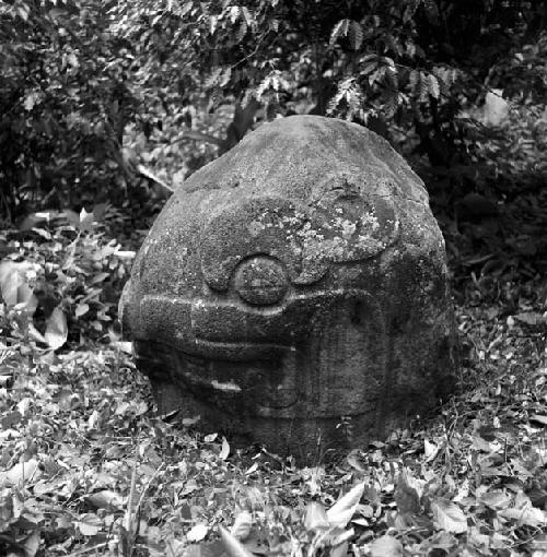 Reptile head sculpture at Sabana Grande