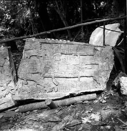 Fragment of Stela 7 at Machaquila