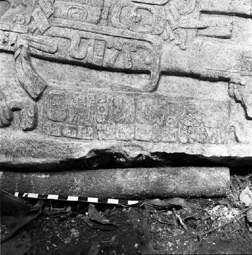 Detail of Stela 7 at Machaquila