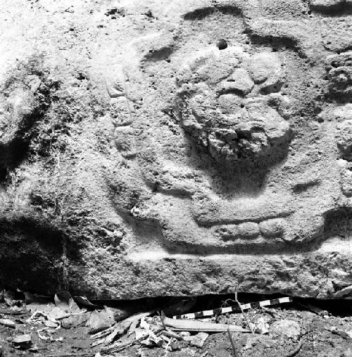 Detail of Stela 10 at Machaquila