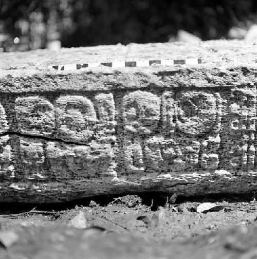 Detail of Stela 2 at Machaquila