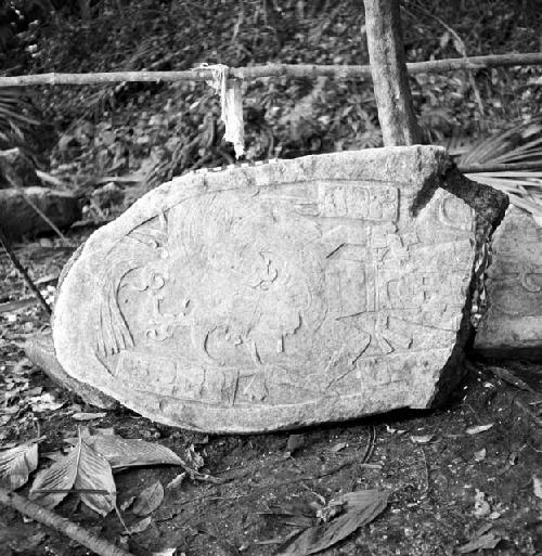 Fragment of Stela 5 from Machaquila