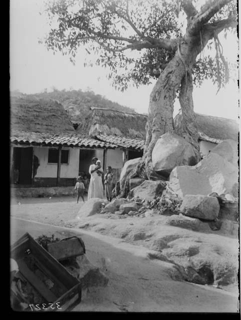 Tree, Road, and Building