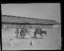 Man walking animals in rural setting