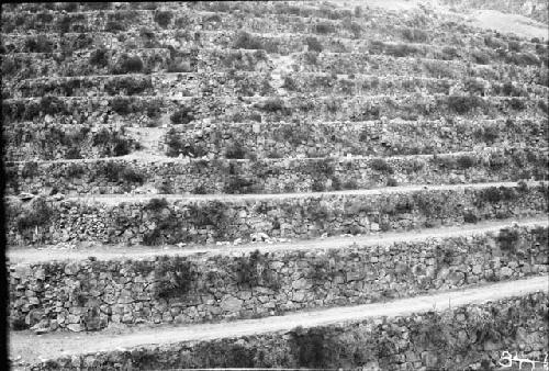 Terraces at Pisac