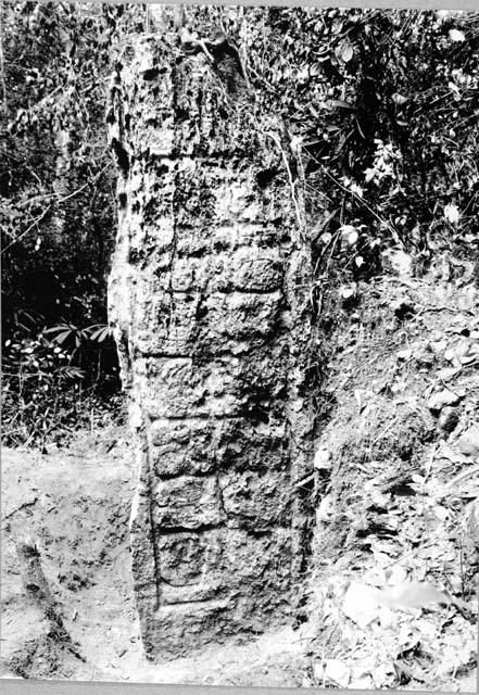 Stela 4, right side