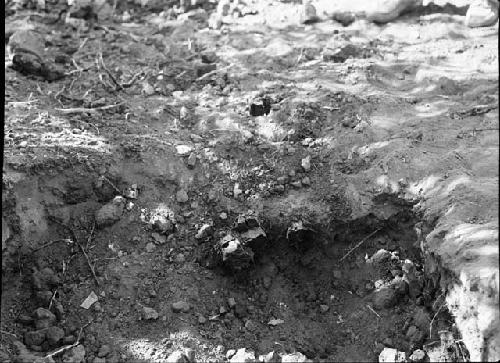 Fallen Roof Timbers in Room 99A