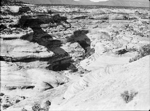 Natural Bridges National Monument